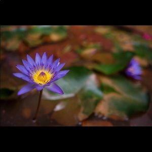 Meet your Posher, Marti